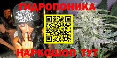 крисы Ирбит