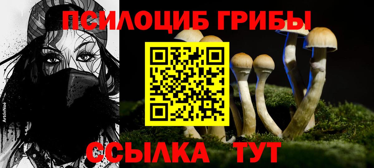Галлюциногенные грибы MAGIC MUSHROOMS Лянтор