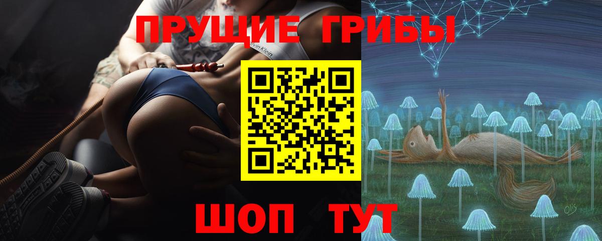 Галлюциногенные грибы Psilocybine cubensis  Вход с VPN  Лянтор 